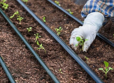 تصویر 1 از لوله پلی اتیلن تک لایه مقاوم سایز کوچک صنعتی